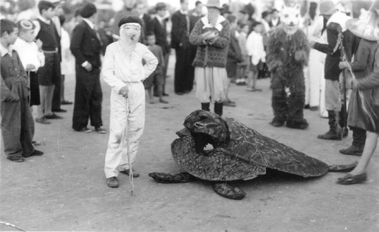 Archivo: Disfraz de tortuga.jpg